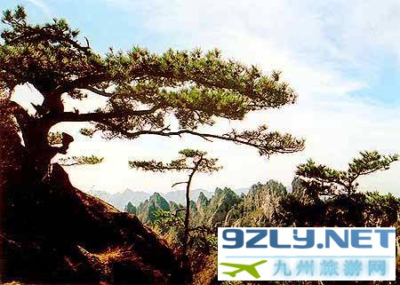 南阳老界岭