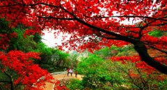 河南木札岭