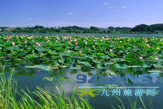 冀中白洋淀