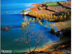 四川宝兴， 最美的还是红叶