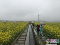 【湖南】春季乡村旅游引爆田园花海观光