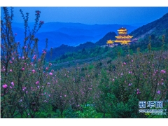 【湖南】怀化洪江：如此多娇