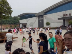 【河南西峡】恐龙遗迹园已达到最大接待量