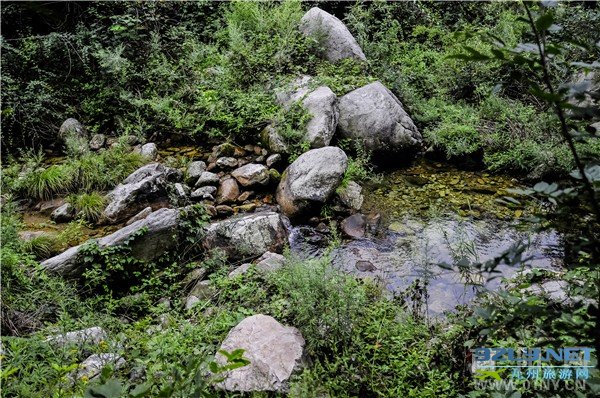 探访水源地——伏牛山天然矿泉水“润之泉”
