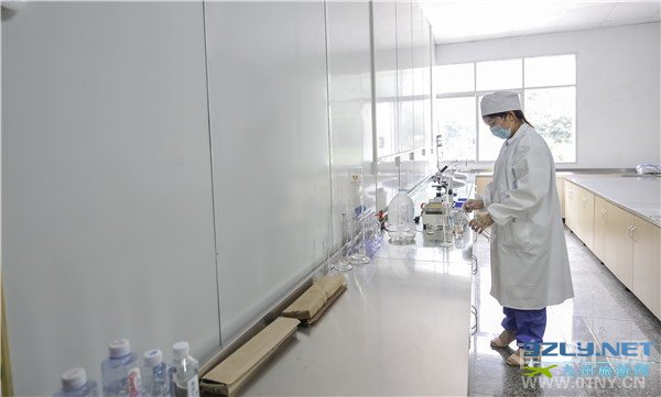 探访水源地——伏牛山天然矿泉水“润之泉”