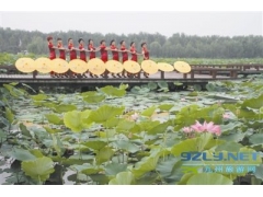 山东滨州：水质净化工程“洗出”麻大湖美好环境