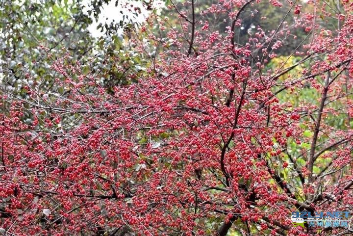 河南南召：伏牛旅游明珠乔端镇