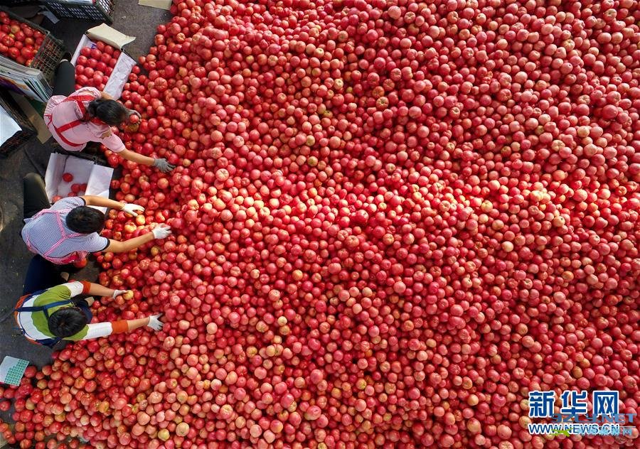 美丽中国——金秋画卷