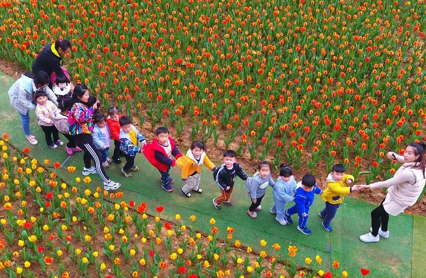孩子们在江西九江市濂溪区的郁金香花博会现场玩耍