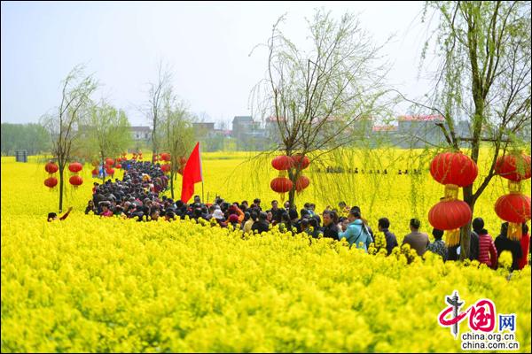 江西九江： 风景小岛花海绽放 魅力棉船无限风光