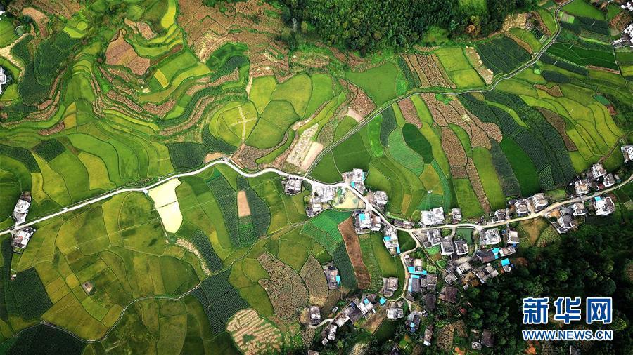 广西桂林：山村秋色美