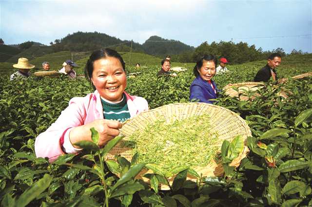 重庆开州：力推“农业+生态+旅游”发展模式